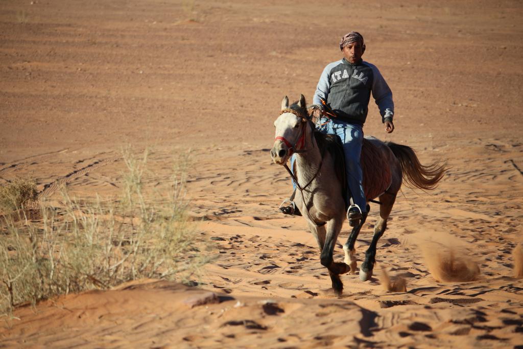 Sun City Camp Hotell Wadi Rum Exteriör bild